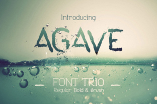 Agave Font Trio: Unlocking Versatile Design Harmony