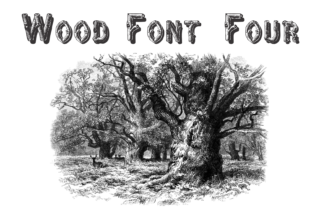 Wood Font Four: Bringing Nature's Texture to Your Design Projects